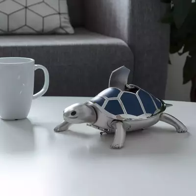 Kelys & Chirp in Situ<br>Open